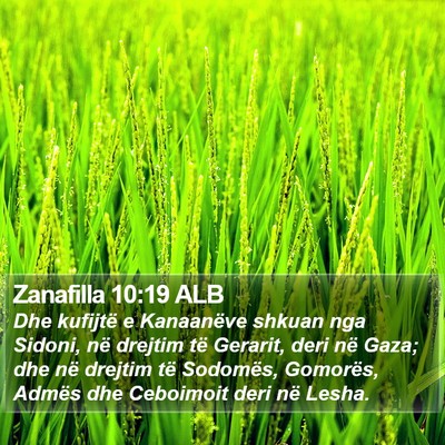 Zanafilla 10:19 ALB Bible Verse Image
