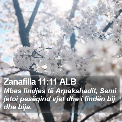 Zanafilla 11:11 ALB Bible Verse Image