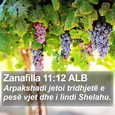 Zanafilla 11:12 ALB Bible Verse Image