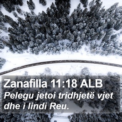 Zanafilla 11:18 ALB Bible Verse Image