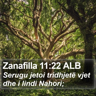 Zanafilla 11:22 ALB Bible Verse Image