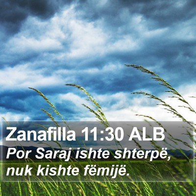 Zanafilla 11:30 ALB Bible Verse Image