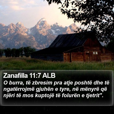 Zanafilla 11:7 ALB Bible Verse Image