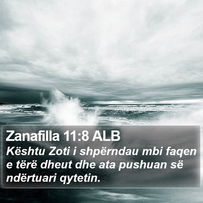Zanafilla 11:8 ALB Bible Verse Image