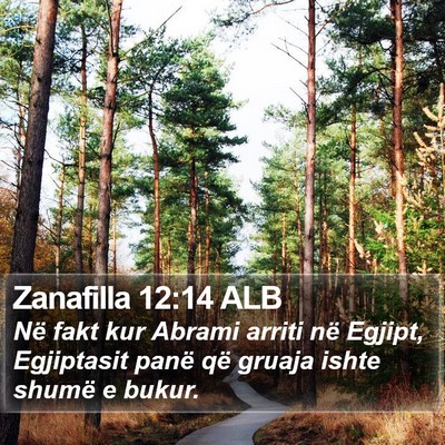 Zanafilla 12:14 ALB Bible Verse Image