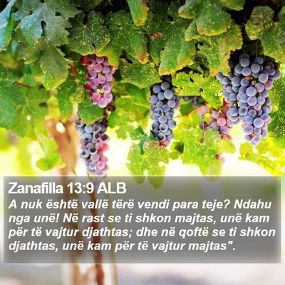 Zanafilla 13:9 ALB Bible Verse Image