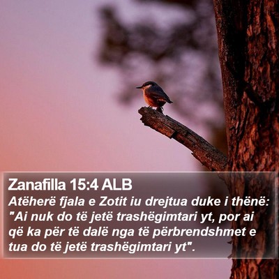 Zanafilla 15:4 ALB Bible Verse Image