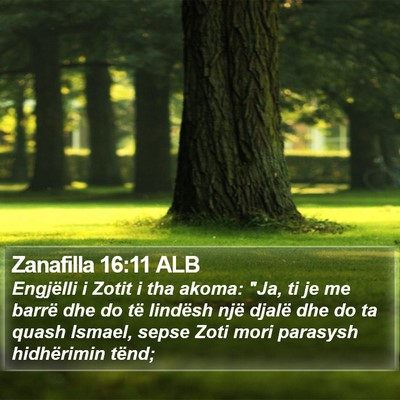 Zanafilla 16:11 ALB Bible Verse Image