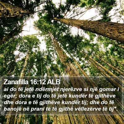 Zanafilla 16:12 ALB Bible Verse Image