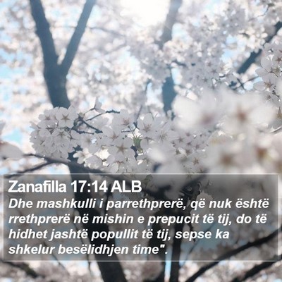 Zanafilla 17:14 ALB Bible Verse Image