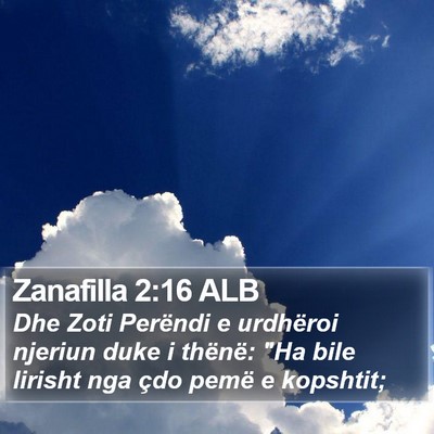 Zanafilla 2:16 ALB Bible Verse Image