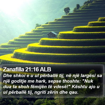Zanafilla 21:16 ALB Bible Verse Image
