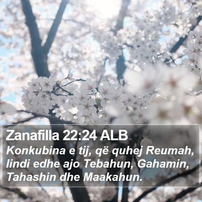 Zanafilla 22:24 ALB Bible Verse Image