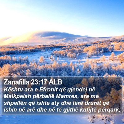 Zanafilla 23:17 ALB Bible Verse Image