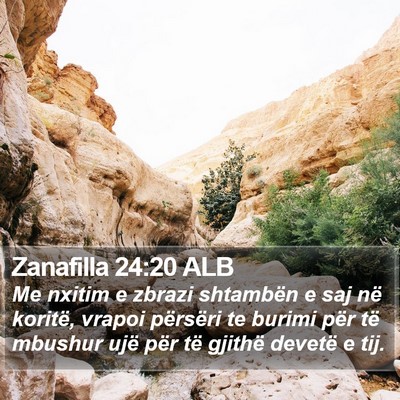 Zanafilla 24:20 ALB Bible Verse Image