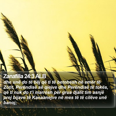 Zanafilla 24:3 ALB Bible Verse Image