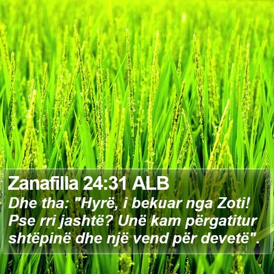 Zanafilla 24:31 ALB Bible Verse Image