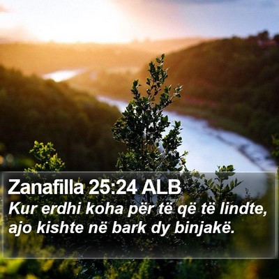 Zanafilla 25:24 ALB Bible Verse Image