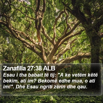Zanafilla 27:38 ALB Bible Verse Image