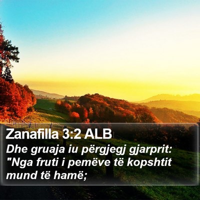 Zanafilla 3:2 ALB Bible Verse Image