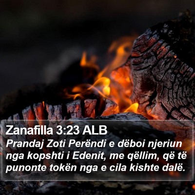 Zanafilla 3:23 ALB Bible Verse Image