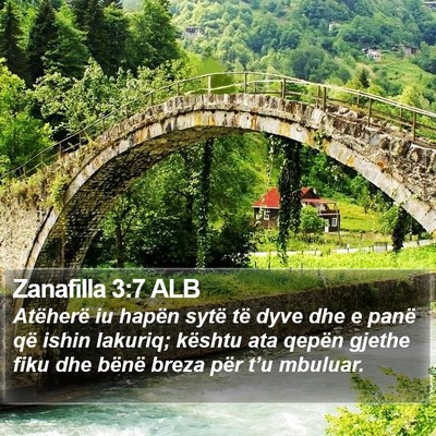 Zanafilla 3:7 ALB Bible Verse Image