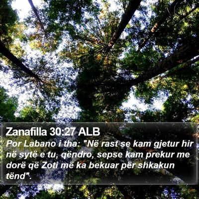 Zanafilla 30:27 ALB Bible Verse Image