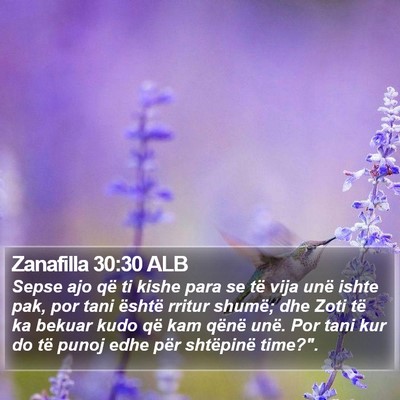 Zanafilla 30:30 ALB Bible Verse Image