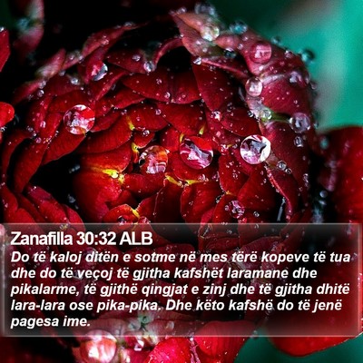 Zanafilla 30:32 ALB Bible Verse Image