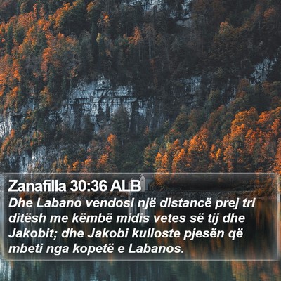 Zanafilla 30:36 ALB Bible Verse Image