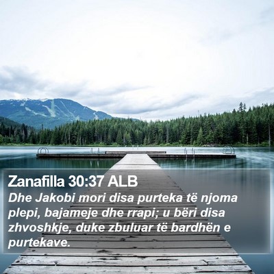 Zanafilla 30:37 ALB Bible Verse Image