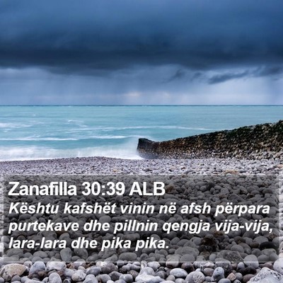 Zanafilla 30:39 ALB Bible Verse Image