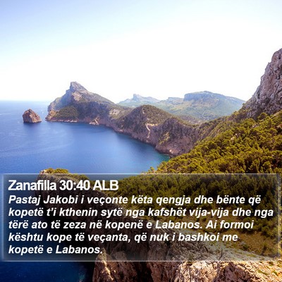 Zanafilla 30:40 ALB Bible Verse Image