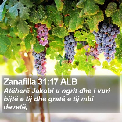 Zanafilla 31:17 ALB Bible Verse Image