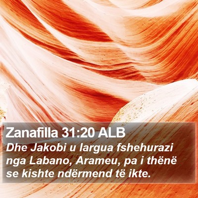 Zanafilla 31:20 ALB Bible Verse Image