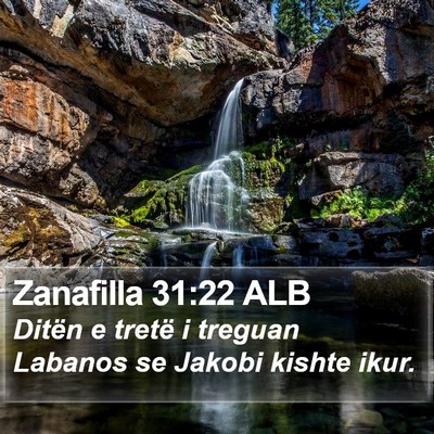 Zanafilla 31:22 ALB Bible Verse Image