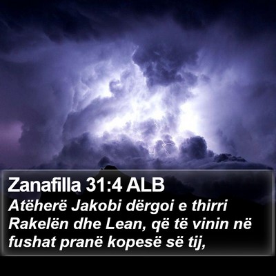 Zanafilla 31:4 ALB Bible Verse Image