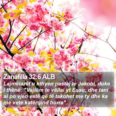 Zanafilla 32:6 ALB Bible Verse Image