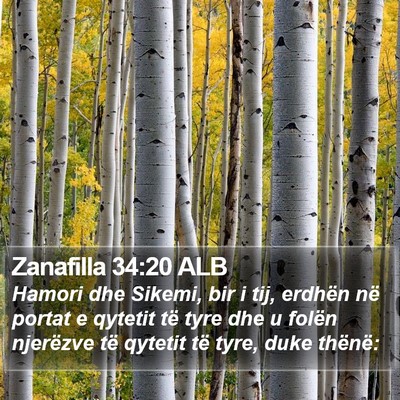 Zanafilla 34:20 ALB Bible Verse Image