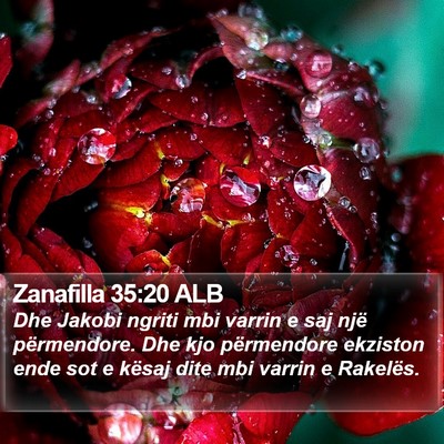 Zanafilla 35:20 ALB Bible Verse Image