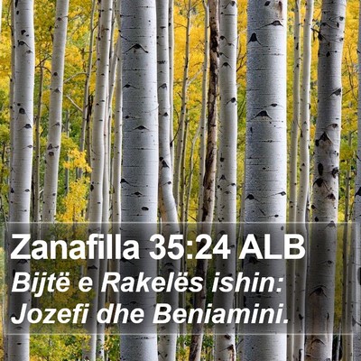 Zanafilla 35:24 ALB Bible Verse Image