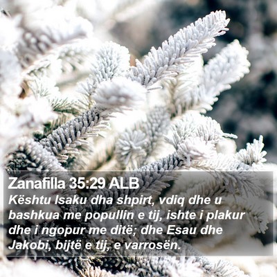 Zanafilla 35:29 ALB Bible Verse Image
