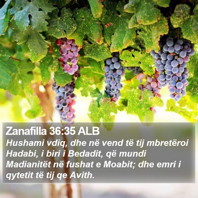 Zanafilla 36:35 ALB Bible Verse Image