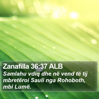 Zanafilla 36:37 ALB Bible Verse Image