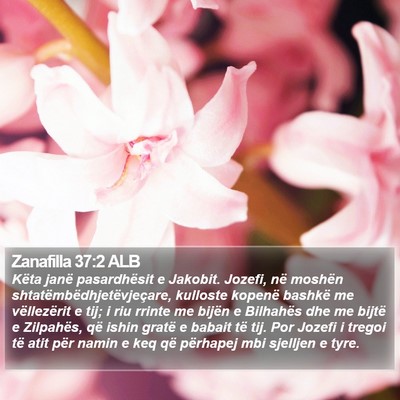 Zanafilla 37:2 ALB Bible Verse Image