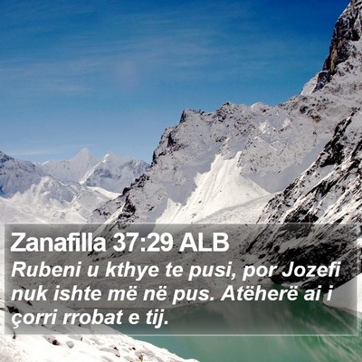 Zanafilla 37:29 ALB Bible Verse Image
