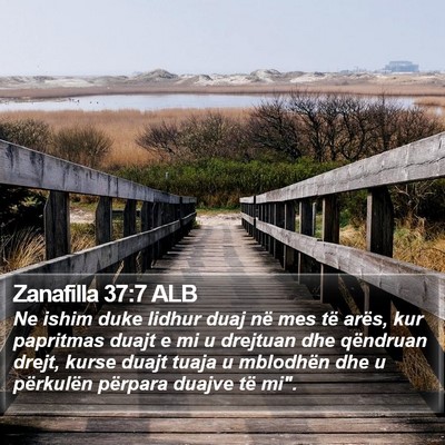 Zanafilla 37:7 ALB Bible Verse Image