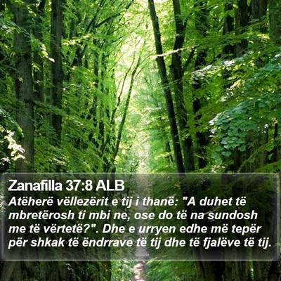 Zanafilla 37:8 ALB Bible Verse Image