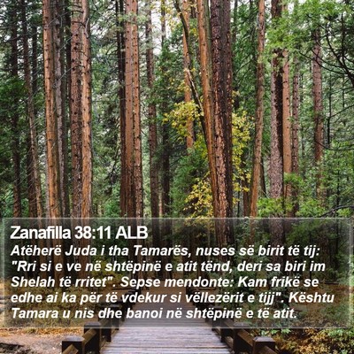 Zanafilla 38:11 ALB Bible Verse Image
