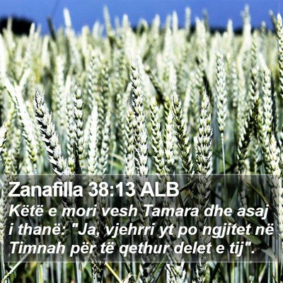 Zanafilla 38:13 ALB Bible Verse Image